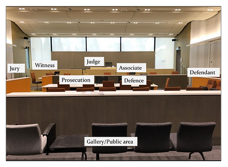 Courtroom: public gallery in front; defense right middle, prosecution left middle; Associate, Magistrate, Witness at front; Jury left side.